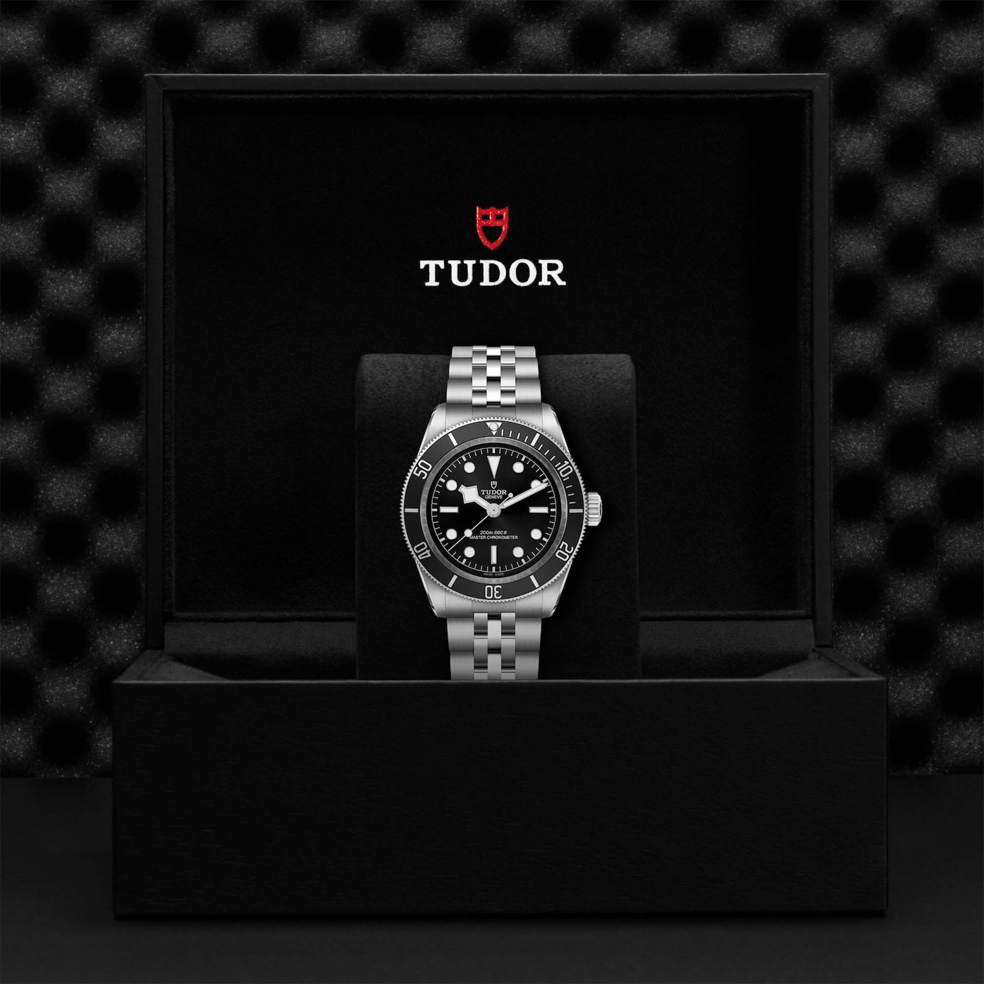 TUDOR Black Bay Automatic 41 mm Stainless Steel Maison Birks